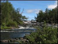 Bifogad bild: norge2010augusti116.jpg